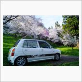 桜が散った？なら咲いている所 ...
