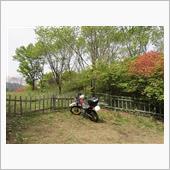 2年振りの斗賀野ワールド•観 ...