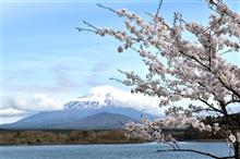 富士山と桜