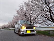 桜特集①～總願寺、忍城、諏訪神社編☆