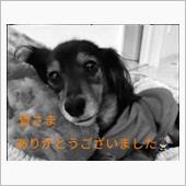 週刊ランキング5週連続1位を ...