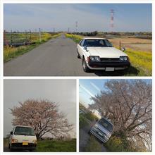 ネタも尽きたので・・・。