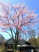 久々の軽井沢は日帰り♪