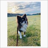 私には、愛車と愛犬がいます❣️