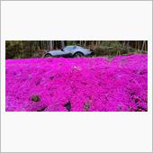 花に埋もれ