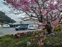 2022.3 房総の旅（３日目）　〜 今日もお花に囲まれた一日でした！ 〜