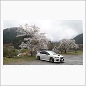 この前の🌸花見＆♨温泉旅の ...
