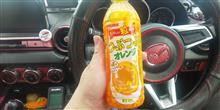 ＤＡＩＳＯの面白そうなアイテム♪