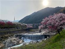 元善光寺御開帳と花桃の里へ行ってきました