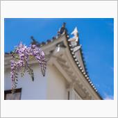 岡山満喫旅2022。