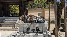 ほとんど県外に居た4月 [2022/4] 