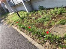 取り付け
