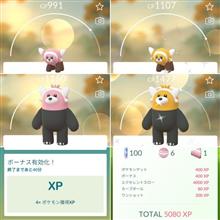 キテルグマ初実装