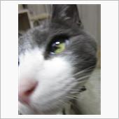 起きたら12時だった夢から目 ...