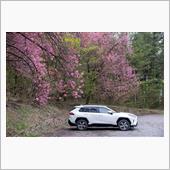RAV4で孫と赤城自然園へ