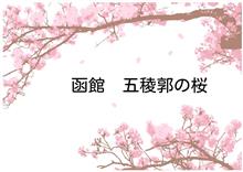 函館五稜郭公園　さくら開花♪　ランチは「評判いいよ～」さん
