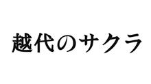 04/26　越代のサクラ━━━━━━(ﾟ∀ﾟ)━━━━━━!!!!!!!