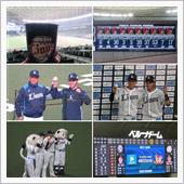 野球観戦（埼玉西武vs千葉ロ ...