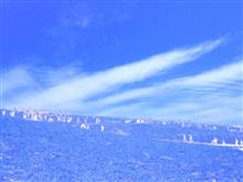 🔵春の花園巡りNo.10『ひたち海浜公園 ネモフィラ編』🔵