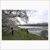 2022春　東北六県巡り1日 ...