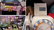 植物育成LEDライトの電気代💡