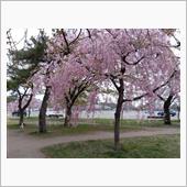 合浦公園