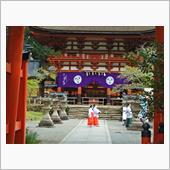 三谷坂から丹生都比売神社・岩 ...