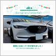 愛車と出会って1年！