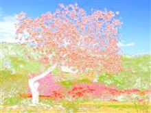 🌸🏵 春の花園巡りNo.11『八重桜＆つつじ編』🏵🌸