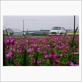 ちょっとドライブしただけの日。