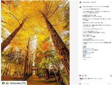 筑西市観光協会フォトコンテスト2021 インスタグラム部門 12月月間賞 筑西市観光協会フォトコンテスト2021 インスタグラム部門 12月月間賞