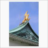 【＜縄張・曲輪＞部門ランキン ...