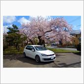 桜とGTI