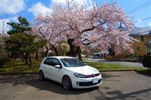 桜とGTI