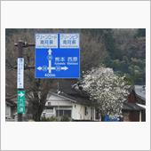 春の九州巡り⑧　高森峠～俵山 ...