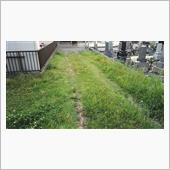 連休の手始め