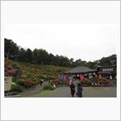 花と歴史の寺　塩舟観音に行っ ...