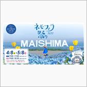 ネモフィラ祭り 2022 に ...