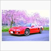 桜+NSX vol.10 赤 ...