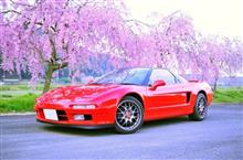 桜+NSX vol.10 赤のせいじ号