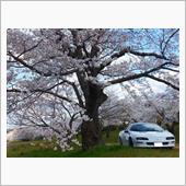 ４月の運行実績と歩行記録