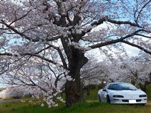 ４月の運行実績と歩行記録