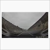 野良Arteonにようやく遭遇