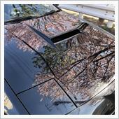 2代目クロエコ号の納車から1 ...