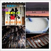 越後國村上町「鮭」村上の千年 ...