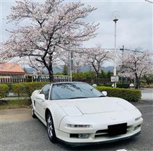 桜+NSX vol.12 min号