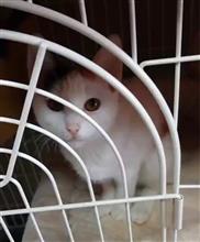 新しい家族の受け入れで、まさかの展開⁉️