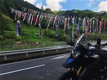 GWだから鯉のぼり