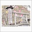 ５０２ 💚長野ぶらり旅 💚⛩熊野皇大神社＜一日目＞