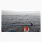 夏タイヤへ履き替えと釣り